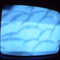 2006 01 10 07 44 00