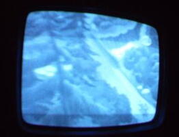2006 01 10 07 44 50