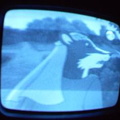 2006 01 10 07 45 00