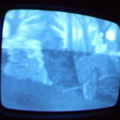 2006 01 10 07 45 30