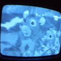 2006 01 10 07 45 50