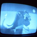 2006 01 10 07 46 29