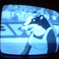 2006 01 10 07 47 20