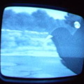 2006 01 10 07 49 00