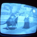 2006 01 10 07 50 40