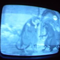 2006 01 10 07 51 10