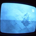 2006 01 10 07 51 30