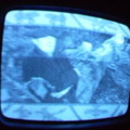 2006 01 10 07 54 00
