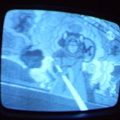 2006 01 10 07 54 40
