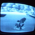 2006 01 10 07 54 50