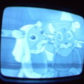 2006 01 10 07 55 50
