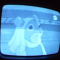 2006 01 10 07 56 00