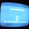 2006 01 10 07 58 50