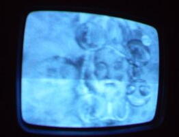 2006 01 10 08 00 10