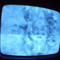 2006 01 10 08 00 10
