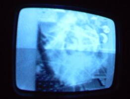 2006 01 10 08 01 41