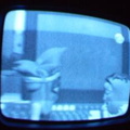 2006 01 10 08 02 51