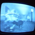 2006 01 10 08 03 51