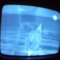 2006 01 10 08 11 22