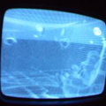 2006 01 10 08 12 42