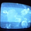 2006 01 10 08 13 42