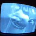 2006 01 10 08 14 51