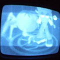 2006 01 10 08 16 42