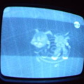 2006 01 10 08 16 51