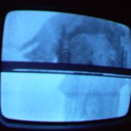2006 01 10 08 26 53