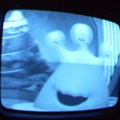 2006 01 10 08 31 03