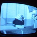 2006 01 10 08 36 33