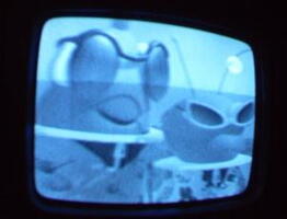 2006 01 10 08 39 03