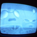 2006 01 10 08 39 13