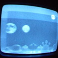 2006 01 10 08 44 34