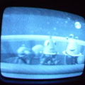 2006 01 10 08 54 54