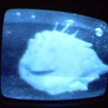 2006 01 10 08 55 35