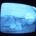 2006 01 10 09 05 56