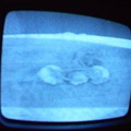 2006 01 10 09 06 16