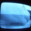 2006 01 10 09 06 46