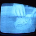 2006 01 10 09 07 36