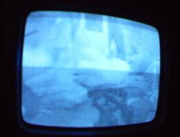 2006 01 10 09 10 36