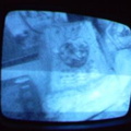 2006 01 10 09 10 46