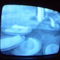 2006 01 10 09 11 26