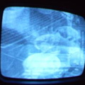 2006 01 10 09 12 56