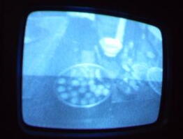 2006 01 10 09 13 36