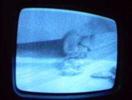 2006 01 10 09 15 06