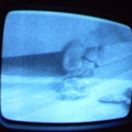 2006 01 10 09 15 06