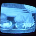 2006 01 10 09 15 56