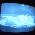 2006 01 10 09 17 56