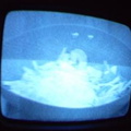 2006 01 10 09 18 27